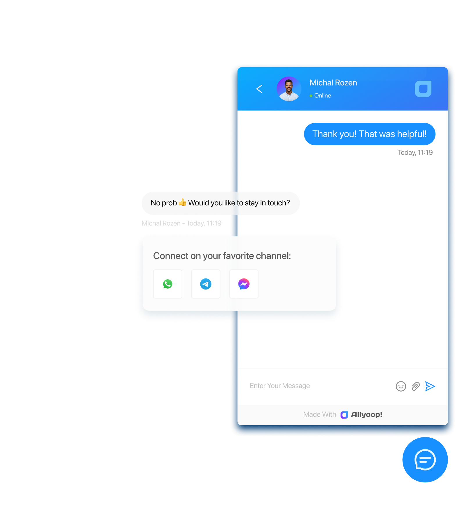 Aliyoop chat widget preview across channels